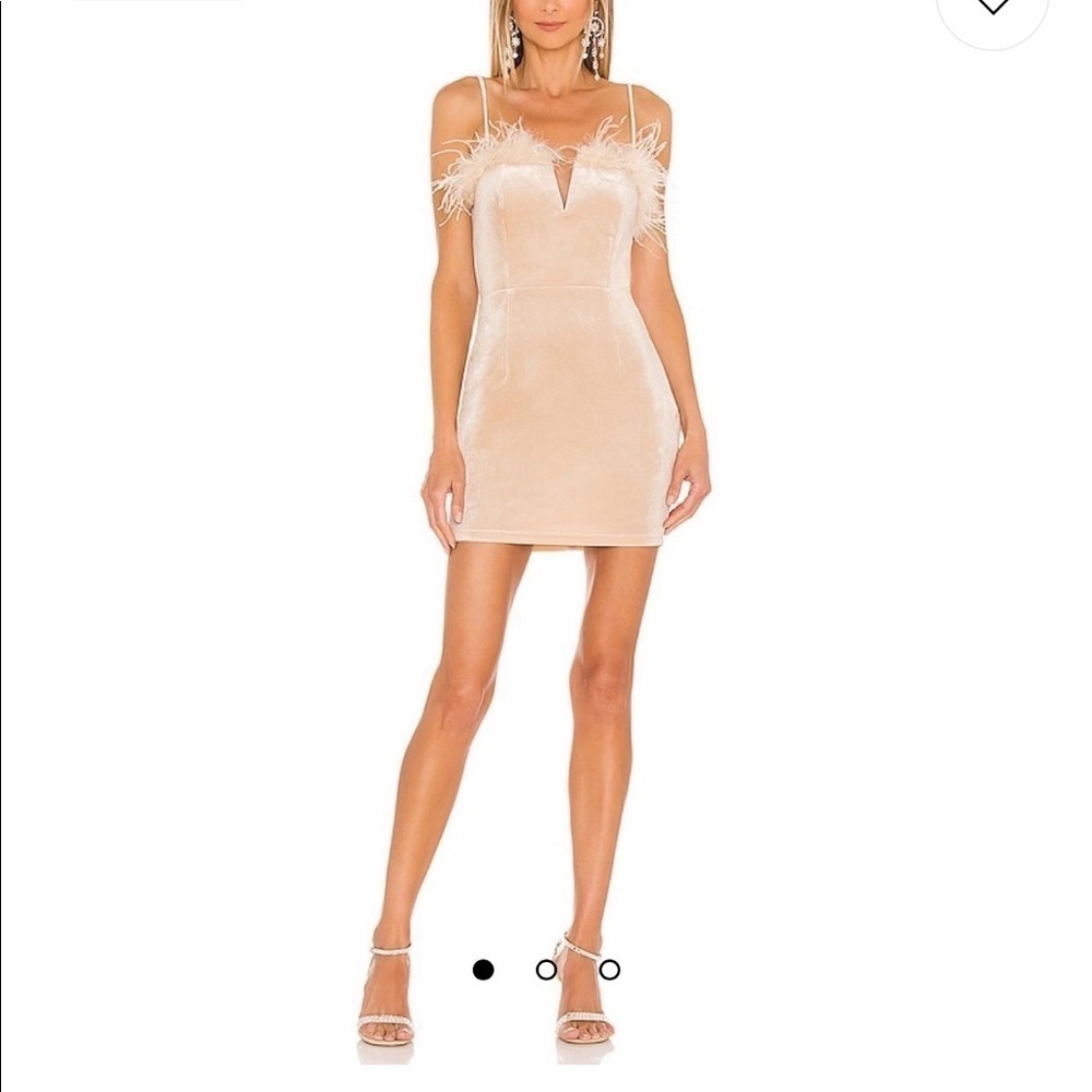 Erika feather trim mini dress